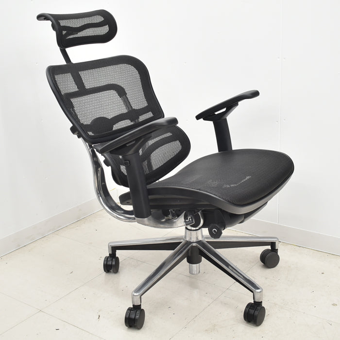 【中古】エルゴヒューマン ベーシック 可動肘 ヘッドレスト ポリッシュ 2024062001【中古オフィス家具】