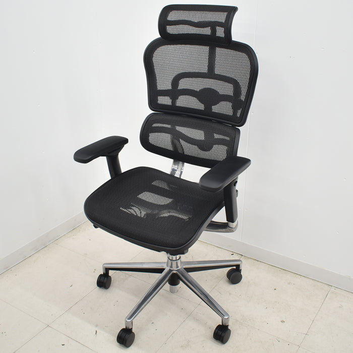 【中古】エルゴヒューマン ベーシック 可動肘 ヘッドレスト ポリッシュ 2024062001【中古オフィス家具】