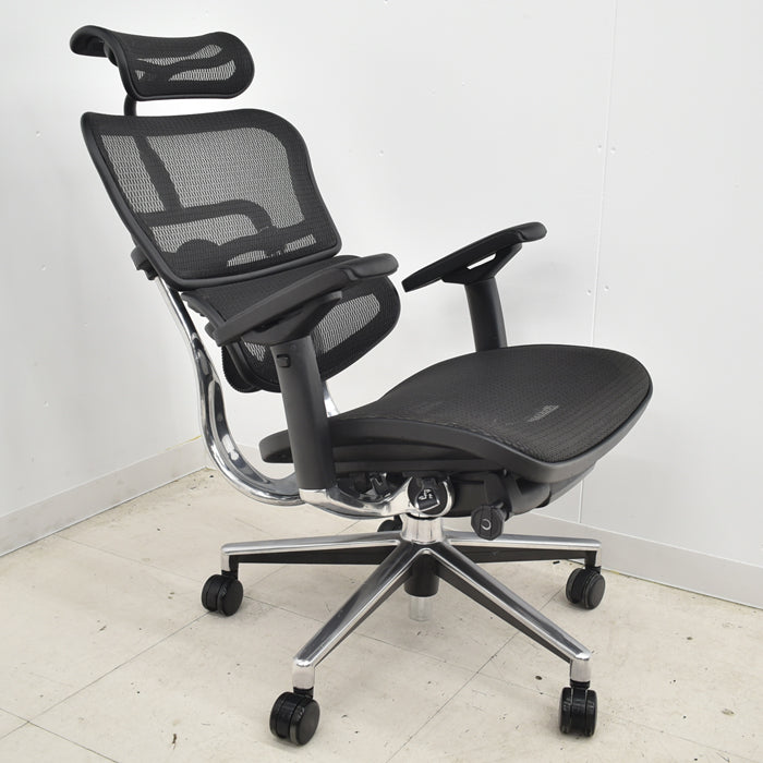 【中古】エルゴヒューマン ベーシック 可動肘 ヘッドレスト ポリッシュ 2024062002【中古オフィス家具】