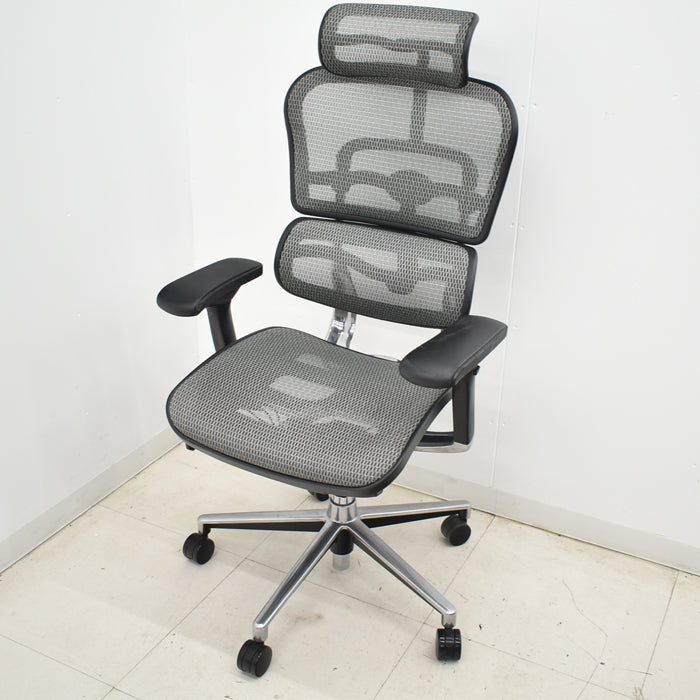 【中古】エルゴヒューマン ベーシック 可動肘 ヘッドレスト ポリッシュ 2025012803【中古オフィス家具】