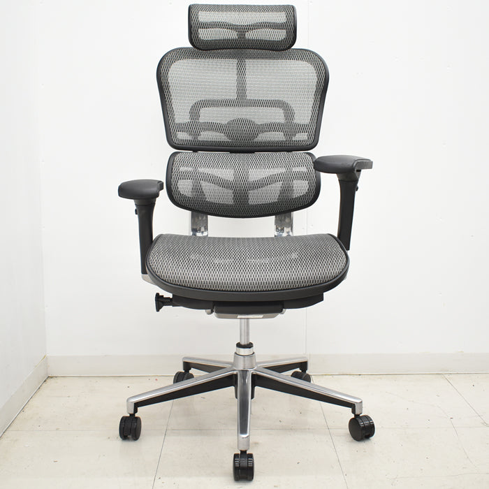 【中古】エルゴヒューマン ベーシック 可動肘 ヘッドレスト ポリッシュ 2025012803【中古オフィス家具】