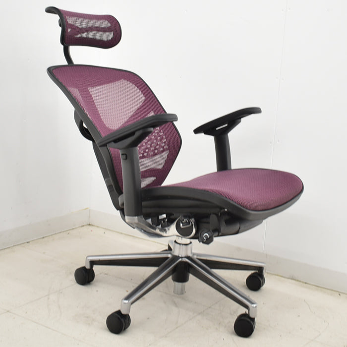 【中古】エルゴヒューマン エンジョイ 可動肘 ランバーサポート ヘッドレスト ポリッシュ 2025031903【中古オフィス家具】