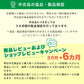 オカムラ　ＳＤ　平机　W1200　2020021804【中古オフィス家具】【中古】