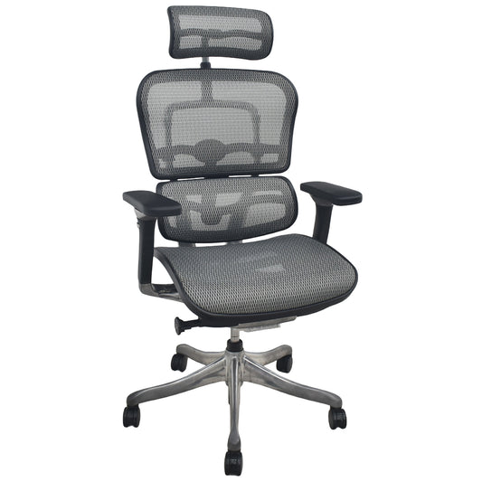 【中古】エルゴヒューマン　プロ　可動肘　ヘッドレスト　ランバーサポート　ナイロンキャスター　ポリッシュ　グレー　2026082701【中古オフィス家具】