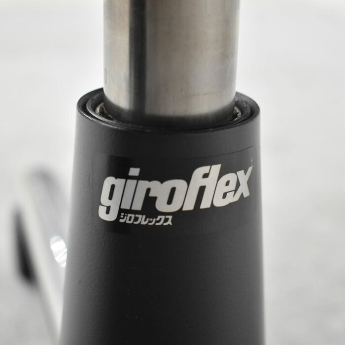 ジロフレックス　Giroflex　ブラサチェア　革張り　固定肘　2023053101